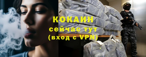 хмурый Абаза