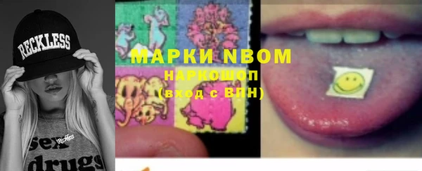 хмурый Абаза