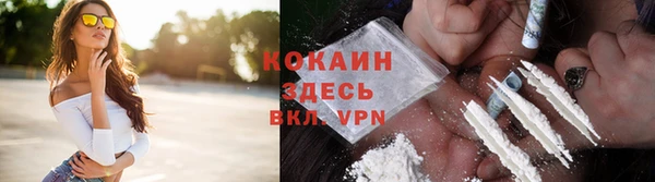 хмурый Абаза