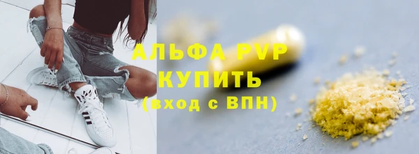 хмурый Абаза