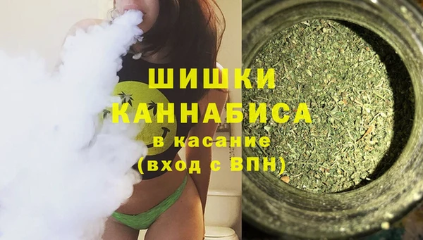 хмурый Абаза