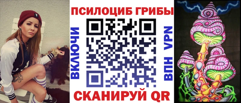 дарнет шоп  Саратов  Псилоцибиновые грибы MAGIC MUSHROOMS 