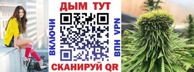 Каннабис сатива  Саратов 